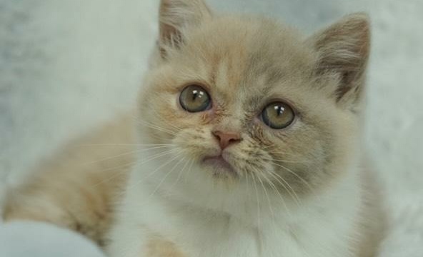 IMG_20250916_183436_108