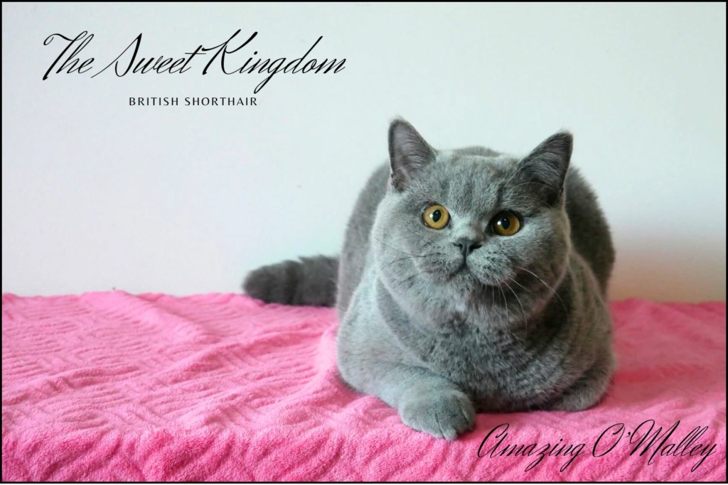 19_20251017_182332_0003