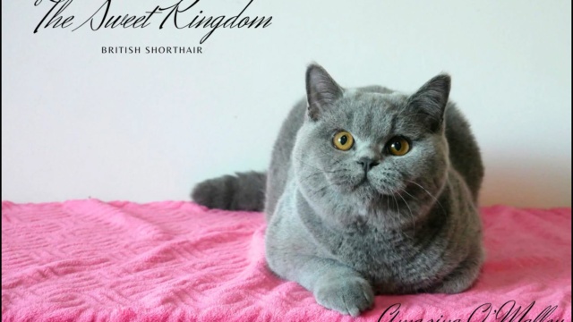 19_20251017_182332_0003