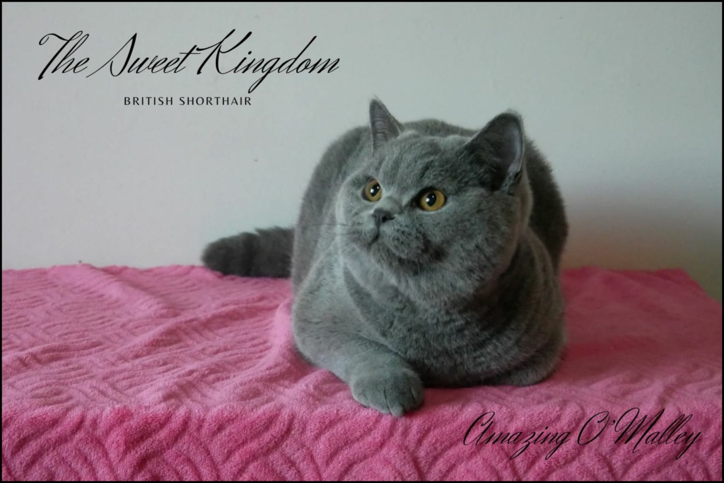 20_20251017_182332_0004