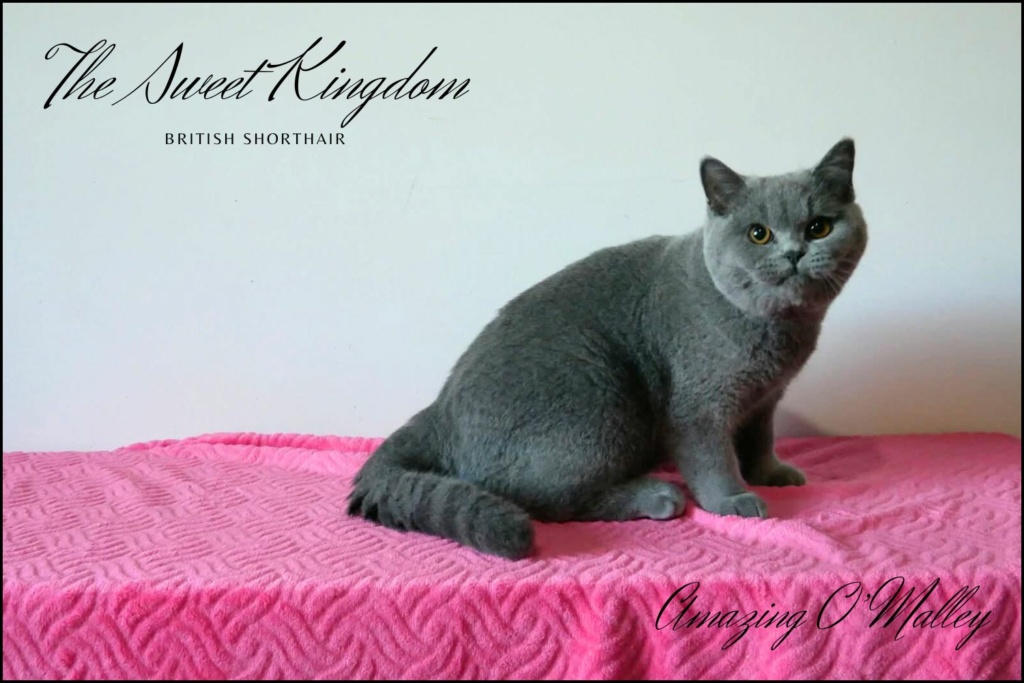 29_20251017_182332_0013