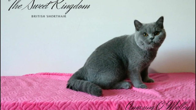 29_20251017_182332_0013