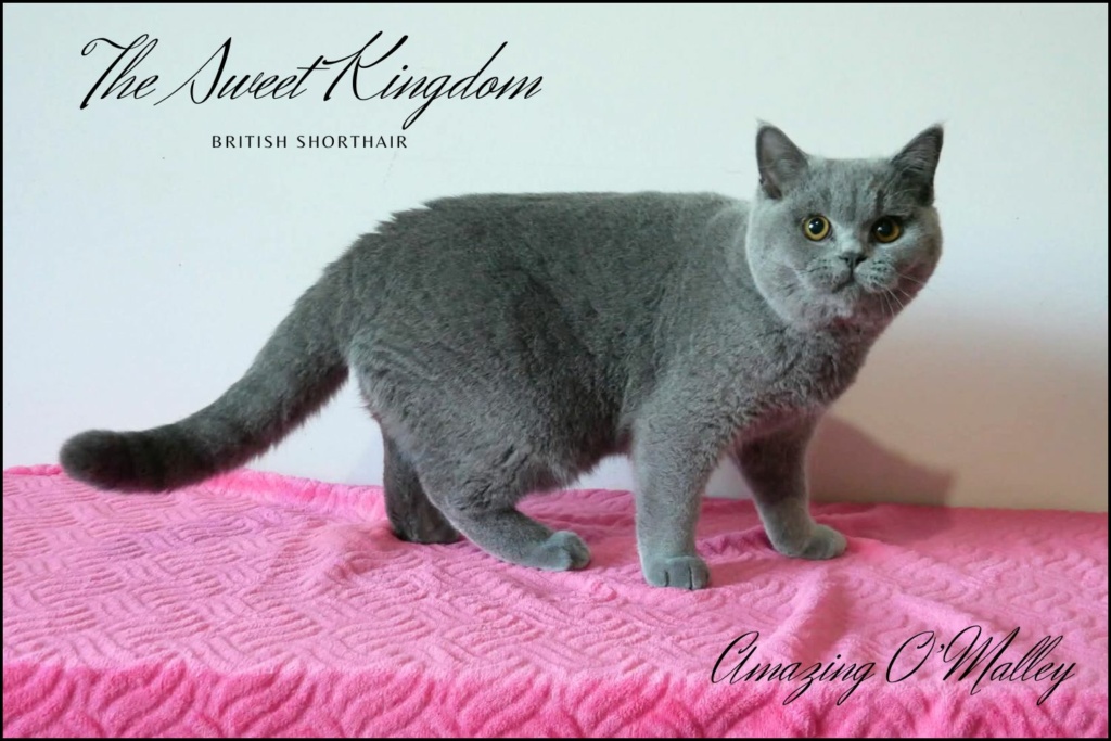 40_20251017_182332_0024