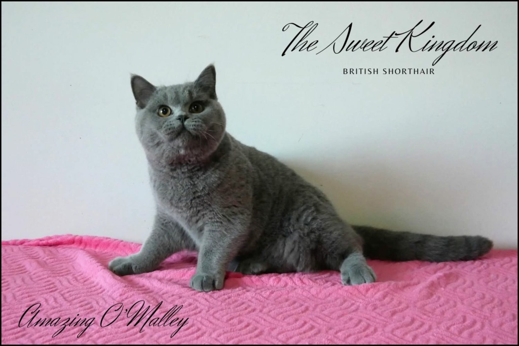 42_20251017_182332_0026