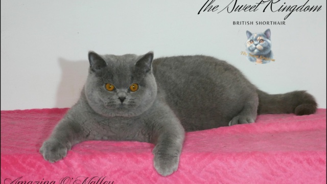 12_20251127_185929_0011