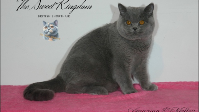 19_20251127_185929_0018