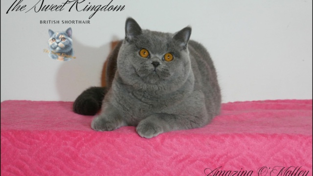 21_20251127_185929_0020