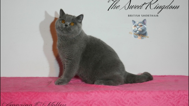 25_20251127_185930_0024