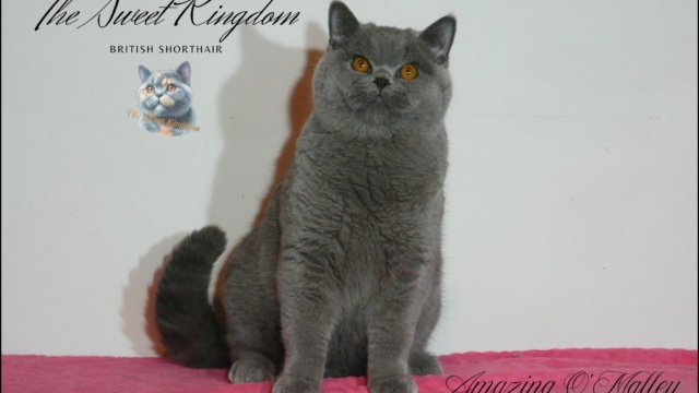 29_20251127_185930_0028