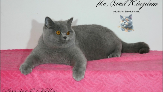 13_20251127_185929_0012