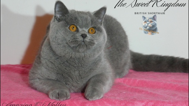 17_20251127_185929_0016