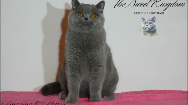 23_20251127_185930_0022