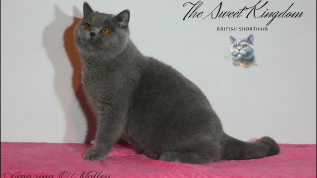 26_20251127_185930_0025