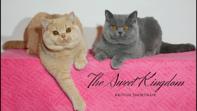 52_20251201_132425_0005