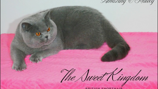 58_20251231_132010_0001