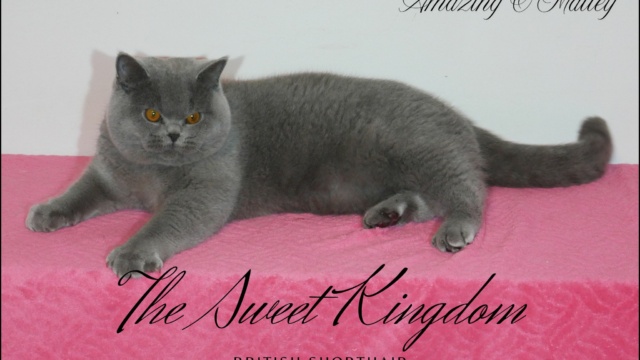 75_20251231_132010_0018