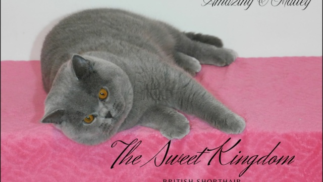 78_20251231_132010_0021