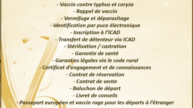 Fiche-de-depart-Nemausus