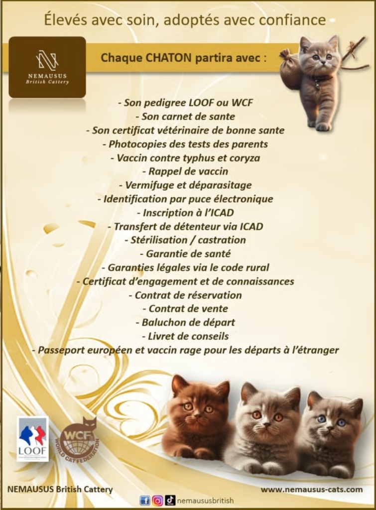 Fiche-de-depart-Nemausus